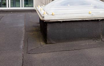 disadvantages of Login flat roofs