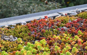 the cost of Login green roof installation