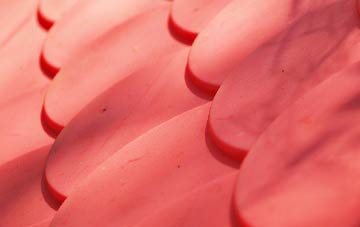 Login plastic roof costs