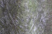 Login fibreglass roof work